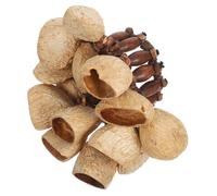 Parliky Natural African Tribal Nut Shell Hand Bell Bracelet Lightweight Percussion Shaker Wristband for Dance Yoga Festival Musical Instrument Accessory with Authentic Earthy Tones