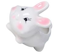 Parliky White Ceramic Rabbit Plant Pot Small Succulent Planter for Indoor Bonsai with Cute Cartoon Design Creative Miniature Flowerpot for Desktop Decoration and Home Office Use
