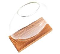 Parliky Wood Base Glass Hydroponics Planter Vase for Home Office Decor Scindapsus Aureus Hydroponic Plant Holder Elegant Desktop Ornament for Housewarming Flower Arrangement