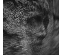 Parlor - Tears For Everything