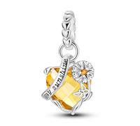 Parmuz 925 Sterling Silver Charms for Bracelet Woman Love Heart Evil Eye Daisy Flower Pendant Beads for Necklace Dog Cat Charm Jewelry Gift for Her