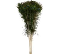 PARNAIRA Original Peacock Feather More Pankh More Feather Tails for puja Decor Ornament (Green) - Set of 10 Pieces