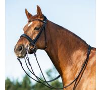 PARNASUS BRIDLE WITH DOUBLE REINS