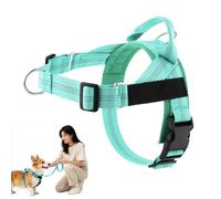 Paropet Easy On-Off Padded Dog Harness for Walking, Adjustable No Pull Dog Harness, Soft Breathable Mesh Padded Pet Vest with Alloy Ring, Fit Walking Harnessfor Dogs Training Outdoor Use (06,M)