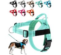 Paropet No Pull Dog Harness, Paropet Dog Harness, Soft, Breathable Padding, Durable D-Rings, And a Secure Grip Handle - Designed for Dogs, From Small to Large Breeds (Green,XS)