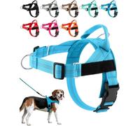 Paropet No Pull Dog Harness, Paropet Dog Harness, Soft, Breathable Padding, Durable D-Rings, And a Secure Grip Handle - Designed for Dogs, From Small to Large Breeds (Blue,L)