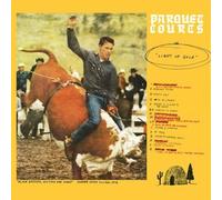 Parquet Courts : Light Up Gold/Tally All the Things That You Broke CD (2013)