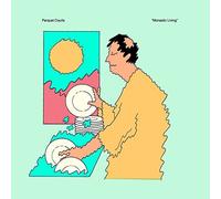 PARQUET COURTS - MONASTIC LIVING - New Vinyl Record 12 RECORD - N3447z