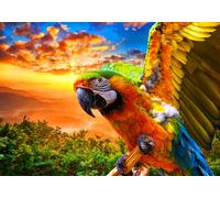 Parrot