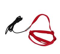 Parrot Bird Harness and Leash Flying Training Rope Bite Resistant Adjustable Design Anti Aviator Pet Outdoor Kit for Walking Attending Party (L)