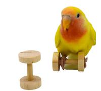 Parrot Bird Toy Supplies Gnawing Dumbbell Weight Lifting Training Intelligence Development Props Bird Tools for Parrots Budgie Parakeet Cockatiel Cockatoo Conure