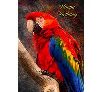Parrot Birthday Card