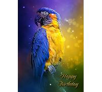 Parrot Birthday Card