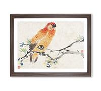 Parrot By Ren Yi Asian Japanese Framed Print | A3 Walnut Framed Wall Art | Ready to Hang | Asian Animal Picture | Living Room Bedroom Lounge Office