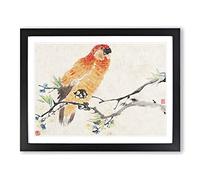 Parrot By Ren Yi Asian Japanese Framed Wall Art Print, Ready to Hang Picture for Living Room Bedroom Home Office Décor, Black A4 (34 x 25 cm)
