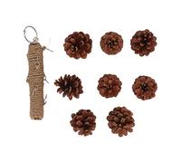 Parrot Chewing Toy | Wooden Pine Cones for Beak Grinding & Claw Trimming | Hanging Bird Toy with Metal Hook/Cage Accessories | Strong Hemp Rope Design (S(approx. 283 X 180mm / 11.14 X 7.09in))