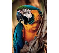 Parrot: Cute Parrot Internet Address and Password Organizer with Alphabetical Tabs and Index (Discreet)