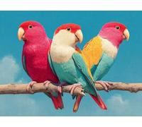 Parrot Diamond Art Animal Diamond Painting, Dimond Art for Adults Beginner, 5D Crystal Dimond Painting Accessories Kits Complete, Crystal Crafts Kit for Home Decor, Gifts for Wome 60x45cm, Model 618