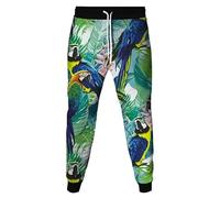 Parrot/Eagle/Phoenix/Peacock/Owl 3D Print Women's Men's Jogger Sweatpants Casual Loose Pocket Drawstring Trousers Streetwear