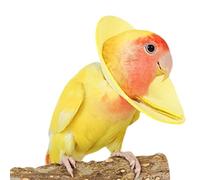 Parrot Elizabethan Collar Soft Gentle Elizabethan Protective Cone, Prevent