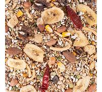 Parrot Essentials Tidymix Premium Quality Parrot Diet Seed Blend (2.30 kg), Parrot Food