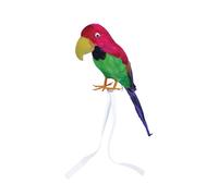 Pirate Fancy Dress Feather Parrot