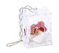 Parrot Feeder Forage Box Hanging Treat Foraging Toy Swing Toy For Small Bird Clear Acrylic Food Holder For Conures Bird Swing