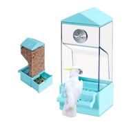 Parrot Feeder Transparent Anti-Splash Zone Decorative