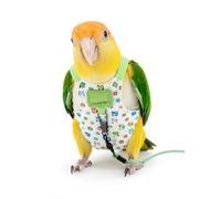 Parrot Flight Suit Harness with Elastic Leash, Heart Snap Quick Release Bird Walking Vest, Breathable Lightweight Outdoor Harness (Green, L)