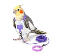 Parrot Flight Suit Harness with Elastic Leash, Heart Snap Quick Release Bird Walking Vest, Breathable Lightweight Outdoor Harness (Purple, M)