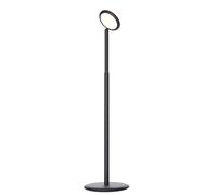 Parrot floor lamp grey