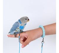 Parrot Flying Training Rope, 6.6 ft, 2 m Bird Traction Rope, Ultra Light Bird Harness for Training, Secure Fit Flight Suit for Monk Parakeet, Sun Conure, Ringneck Parrot, Blue