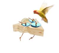 Parrot Foraging Training Toy - Wooden Bird Chew Toy, Cage Activity Perch, Interactive Avian Enrichment Learning Exercise Equipment Set, Natural Wood Forage Puzzle Feeding Stimulation Chewing Toys With