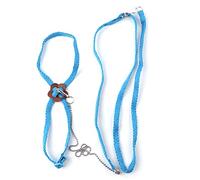 Parrot Harness, 1.2M Adjustable Bird Harness Parrot Training Leash Parrot Release Traction Strap Outgoing Rope for African Grey Cockatoo Parakeet Cockatiel(Blue)