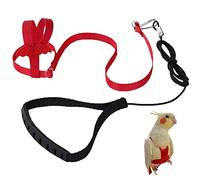 Parrot Harness Adjustable Pet Bird Harness Leash Outdoor Flying Trainning Rope Leash Anti- Bite Elastic Strap for Bird Parrot Cockatoos Macaws (Red, S)