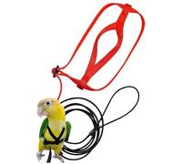 Parrot Harness And Leash - Bird Training Harness | Bird Training Outdoor Carrying Leash, Anti-bite Traction Rope Birds Trainings Outdoor Carrying For Psittacus Erithacus Scarlet Macaw Parrots Birds