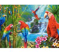 Parrot Meeting