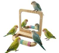Parrot Mirror - Wood Interactive Bird Perch Stand - Cage Play Accessory
