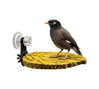 Parrot Perch, Functional, Premium, Suction - Lightweight Cup Tray Bird Conure, Stand Parakeet Cockatoo Lovebird, Canary Finch | Parrot Parakeet Cockatoo Lovebird Canary Finch Modern