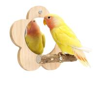 Parrot Perch Stand with Mirror & Chew Toys Natural Wood Bird Play Gym for Cockatiels, Conures, Parakeets, Lovebirds Cage Climbing Ladder Beak Grinding Activity Center