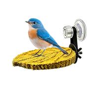 Parrot Perch Suction Cup Resting Stand for Bird