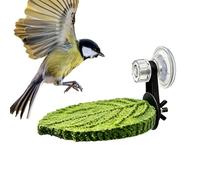 Parrot Perch | Suction Cup Resting Stand for Bird,Parakeet Perch Tray,for Parakeet Cockatiel Conure Cockatoo Lovebird Canary Finch