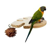 Parrot Perch | Wooden Paw Grinding Stick | Parrot Perch Stand Toy,for Exercise Lovebirds Budgerigars Parakeet Cockatiels Conures
