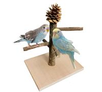 Parrot Playground, Natural Wood Parrot Perch for Tabletop Play and Training, Durable Bird Play Stand with Climbing and Chewing Toys, Bird Playstand Playground for Cage or Indoor Use