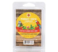 Parrot Safe Wax Melts - Cactus Flower & Jade