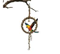 Parrot Seesaw Garland - Suspension Ladder, Destructive Beak Trimmer, Climbing Gym for Exercises | Physical Stimulation Leisure Gear for Lovebirds Play Chewing Boredom Relief
