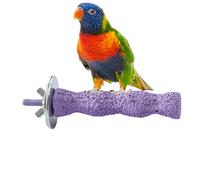 Parrot Stick Stand - Calcium Grinding Stone Chew Toy for Birds | Raw Cake File, Natural Molar Aid, Perch for Cockatoo