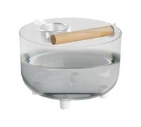Parrot Toilet Training Tray, Easy To Clean And Maintain, 15x15x10cm, Conure Playstand With Bowl, Parrot Table Top Perch, Encourages Healthy Exercise, For Outdoor