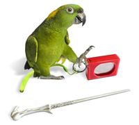 Parrot Training Clicker with Target Stick, Getting Started Bird Clicker Training Kit, Pet Training Stick Foster Discipline and Behavior Training for All Bird Breeds