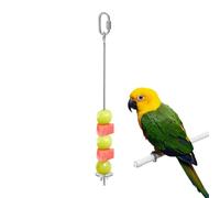 Parrot Vegetable Skewer - Stainless Cage Feeding Rod, Fruit Snack Holder Stick, Avian Foraging Treat Spike, Hanging Produce Feeding Tool | Daily Nutrition Accessory for Lovebird Cockatoo